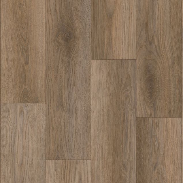 Tamar Coffee Oak